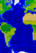 Atlantischer Ozean Vegetation 2720x4000